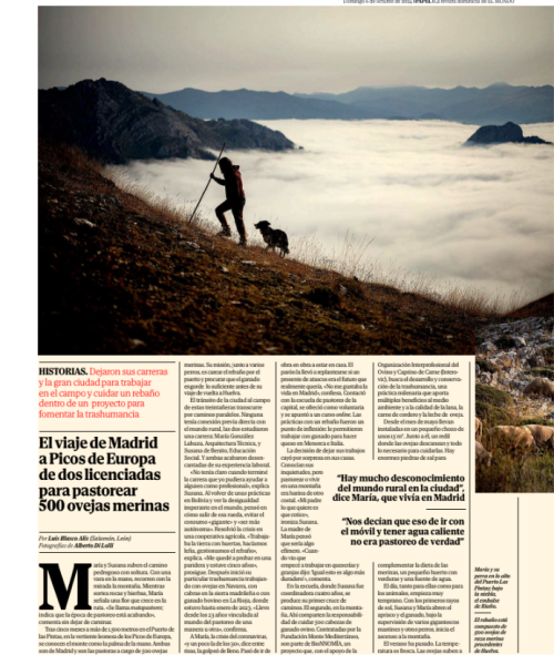 Revista